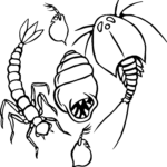 Logo_ZZO